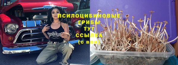 альфа пвп Зеленодольск