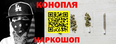 крисы Будённовск