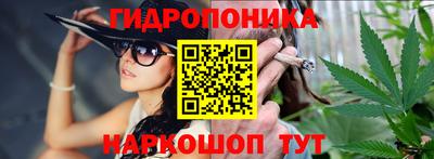 крисы Будённовск