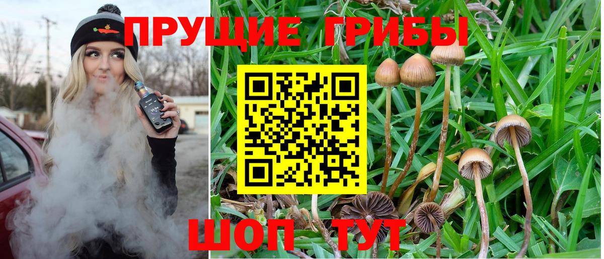 Галлюциногенные грибы Cubensis Сибай