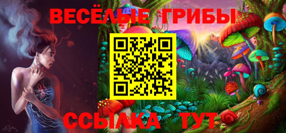 Сибай  Галлюциногенные грибы прущие грибы  Псилоцибиновые грибы мицелий  Вход с VPN 