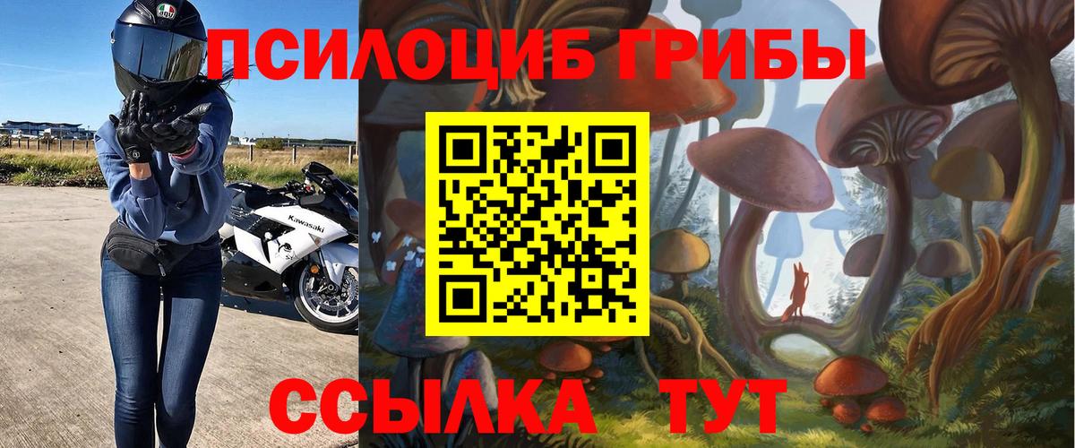 Псилоцибиновые грибы Magic Shrooms Сибай