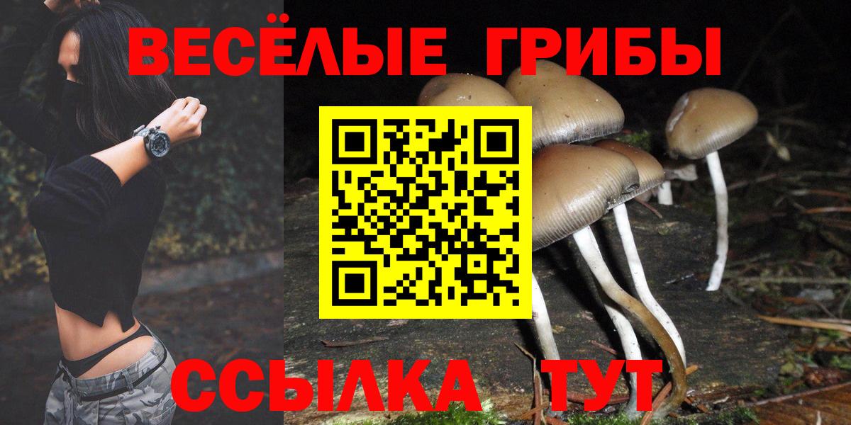 Псилоцибиновые грибы мухоморы  закладки  Сибай 